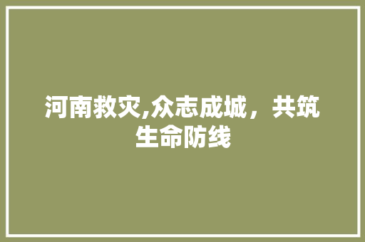 河南救灾,众志成城，共筑生命防线