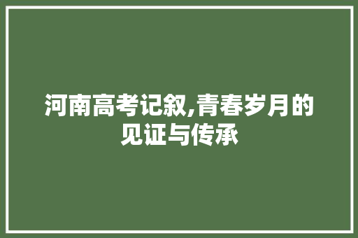 河南高考记叙,青春岁月的见证与传承