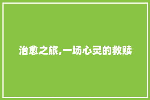 治愈之旅,一场心灵的救赎