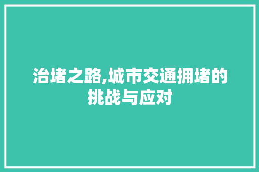 治堵之路,城市交通拥堵的挑战与应对