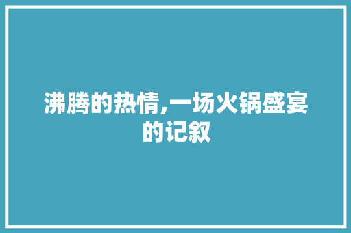 沸腾的热情,一场火锅盛宴的记叙