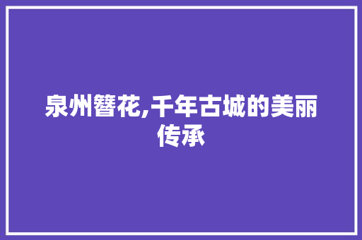 泉州簪花,千年古城的美丽传承