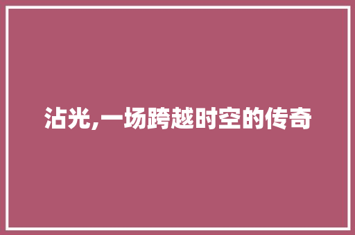 沾光,一场跨越时空的传奇