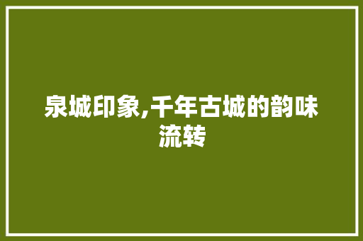 泉城印象,千年古城的韵味流转