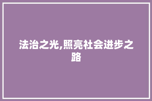 法治之光,照亮社会进步之路