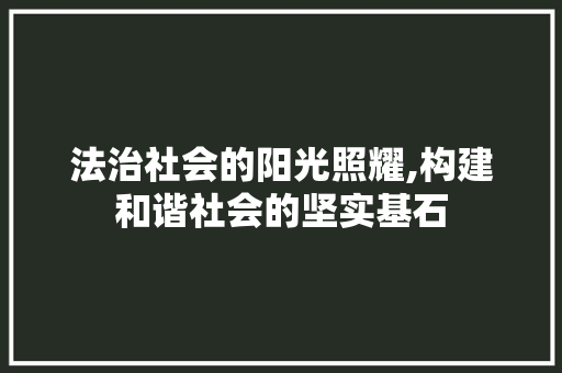 法治社会的阳光照耀,构建和谐社会的坚实基石