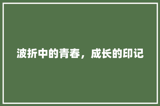 波折中的青春，成长的印记