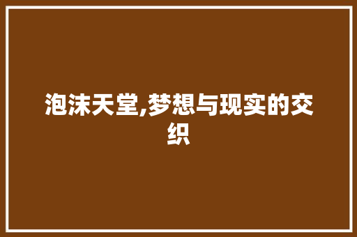 泡沫天堂,梦想与现实的交织