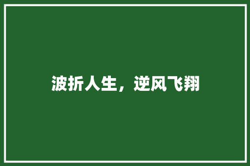 波折人生，逆风飞翔