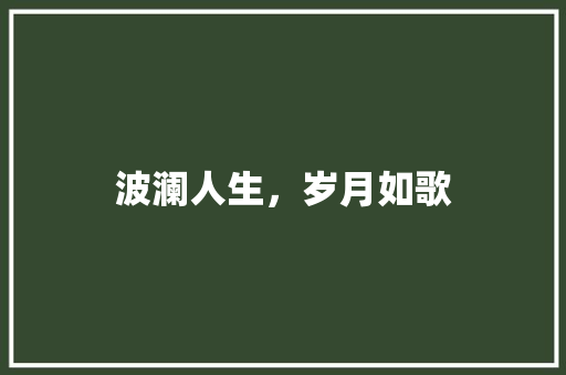 波澜人生，岁月如歌