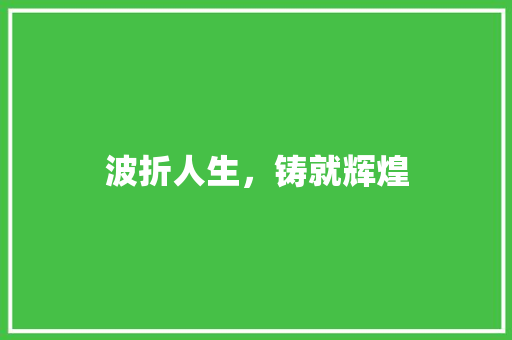 波折人生，铸就辉煌