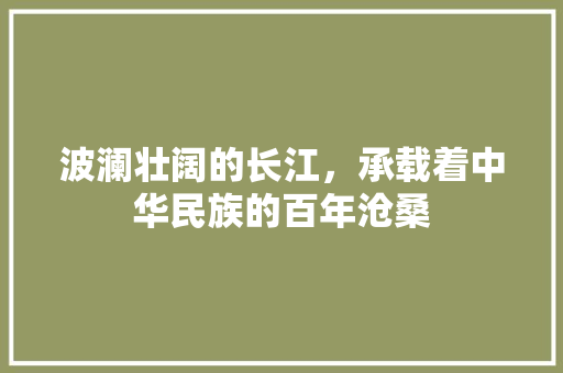 波澜壮阔的长江，承载着中华民族的百年沧桑