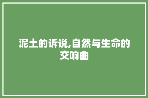 泥土的诉说,自然与生命的交响曲