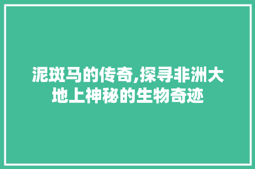 泥斑马的传奇,探寻非洲大地上神秘的生物奇迹