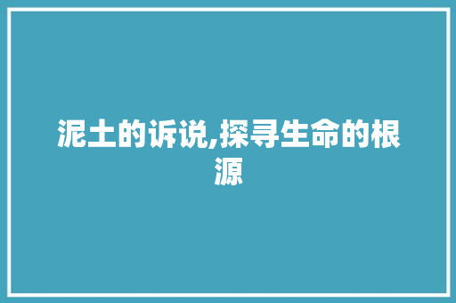 泥土的诉说,探寻生命的根源