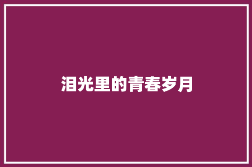 泪光里的青春岁月