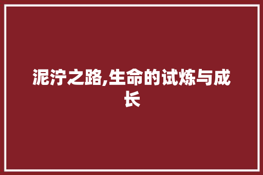 泥泞之路,生命的试炼与成长