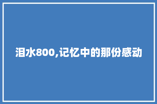 泪水800,记忆中的那份感动