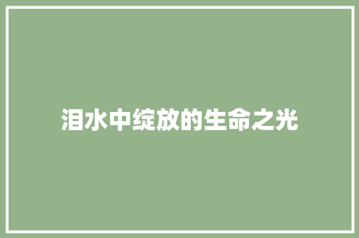 泪水中绽放的生命之光