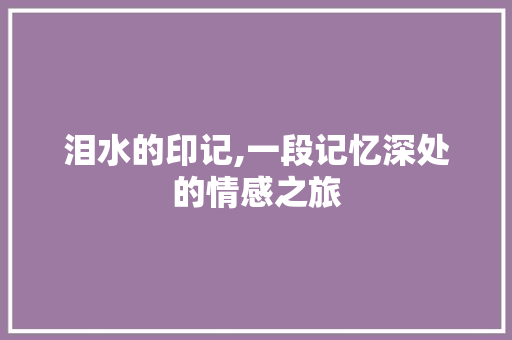 泪水的印记,一段记忆深处的情感之旅