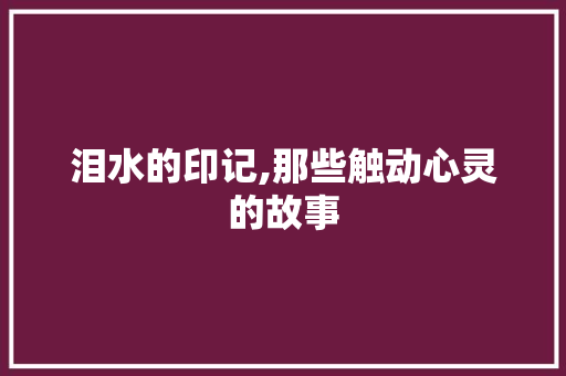 泪水的印记,那些触动心灵的故事