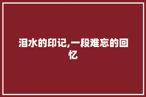 泪水的印记,一段难忘的回忆