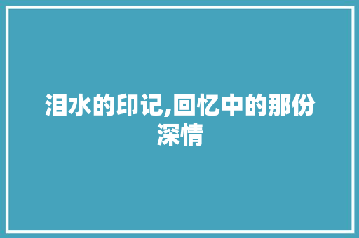 泪水的印记,回忆中的那份深情