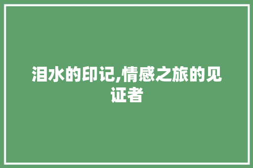 泪水的印记,情感之旅的见证者