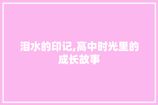 泪水的印记,高中时光里的成长故事