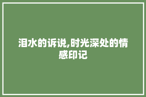 泪水的诉说,时光深处的情感印记