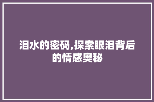 泪水的密码,探索眼泪背后的情感奥秘