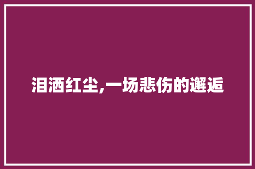 泪洒红尘,一场悲伤的邂逅