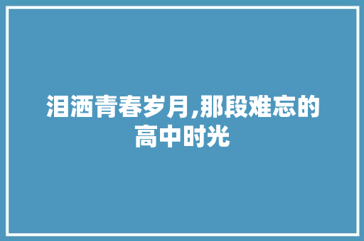 泪洒青春岁月,那段难忘的高中时光