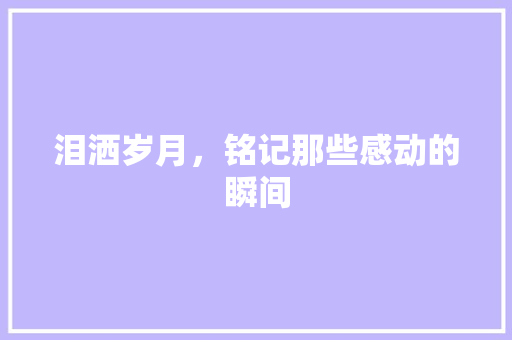 泪洒岁月，铭记那些感动的瞬间