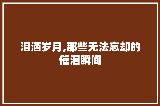 泪洒岁月,那些无法忘却的催泪瞬间