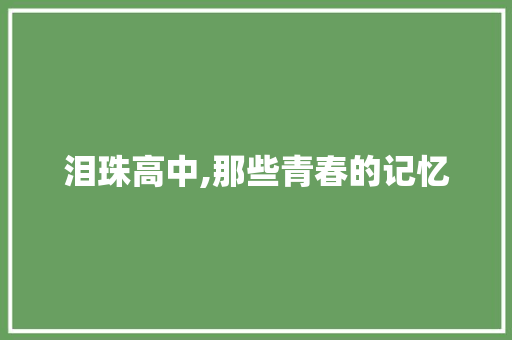 泪珠高中,那些青春的记忆