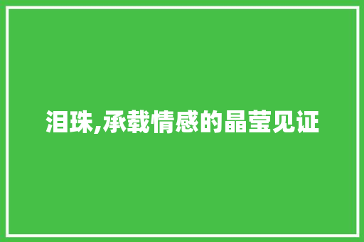 泪珠,承载情感的晶莹见证