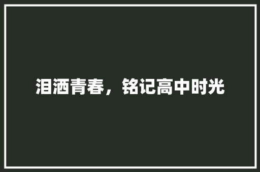 泪洒青春，铭记高中时光