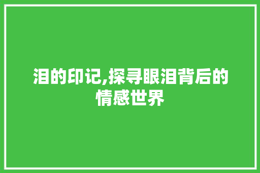 泪的印记,探寻眼泪背后的情感世界