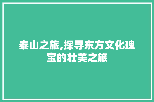 泰山之旅,探寻东方文化瑰宝的壮美之旅