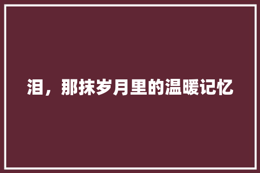 泪，那抹岁月里的温暖记忆