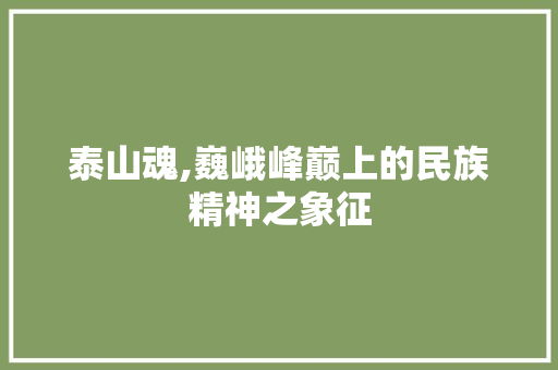 泰山魂,巍峨峰巅上的民族精神之象征