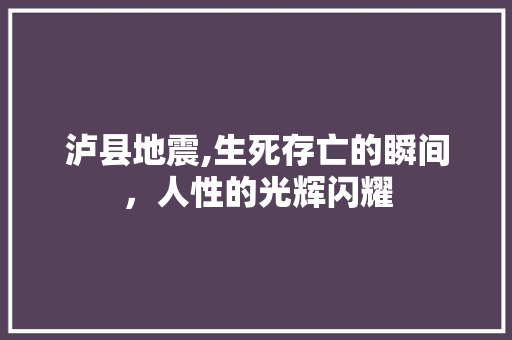 泸县地震,生死存亡的瞬间，人性的光辉闪耀