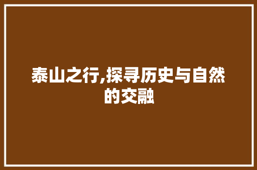 泰山之行,探寻历史与自然的交融