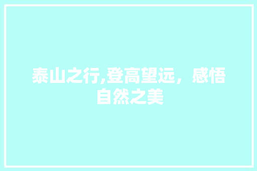 泰山之行,登高望远，感悟自然之美