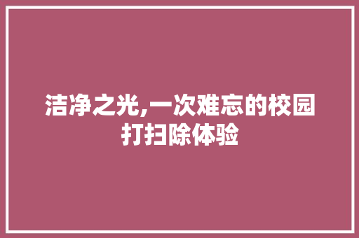 洁净之光,一次难忘的校园打扫除体验