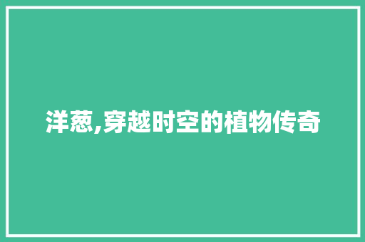 洋葱,穿越时空的植物传奇