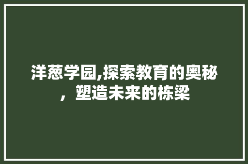 洋葱学园,探索教育的奥秘，塑造未来的栋梁