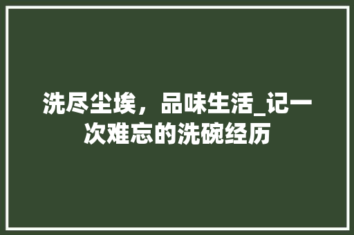 洗尽尘埃，品味生活_记一次难忘的洗碗经历