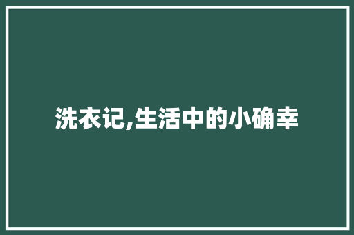 洗衣记,生活中的小确幸